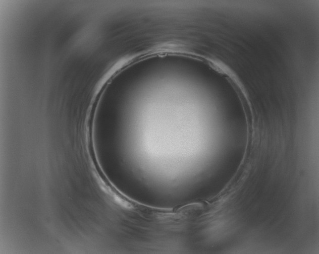 X0000081271341200701111256