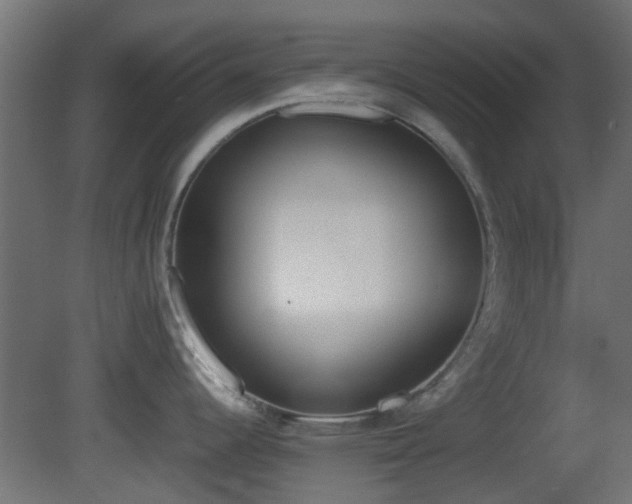 X0000081271344200701111256