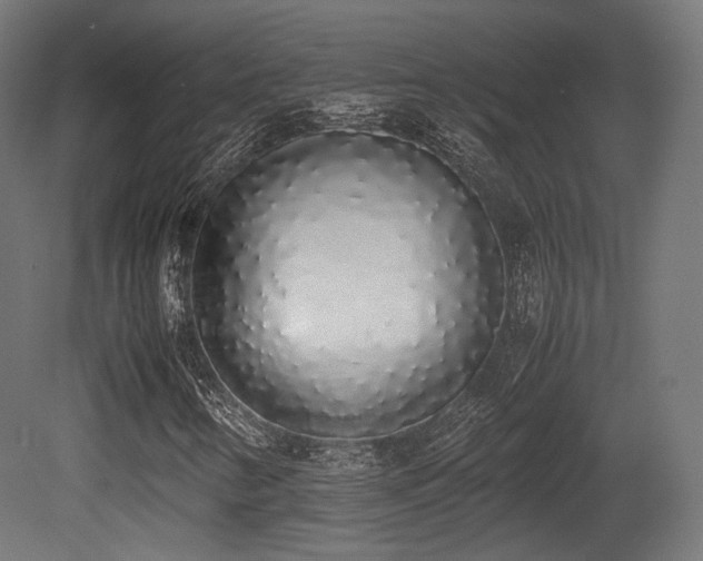 X0000081271346200701111255
