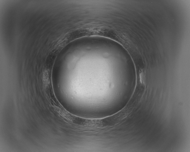 X0000081271347200701111255