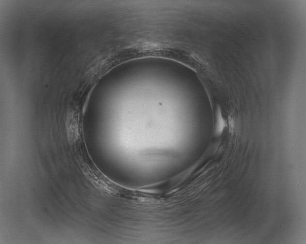 X0000081271348200701111255