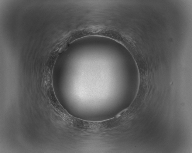 X0000081271349200701111255