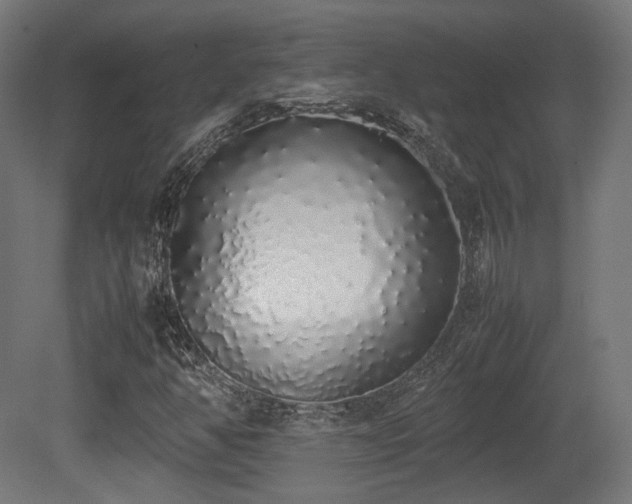 X0000081271350200701111255
