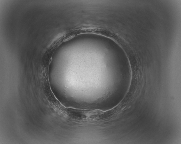 X0000081271351200701111255