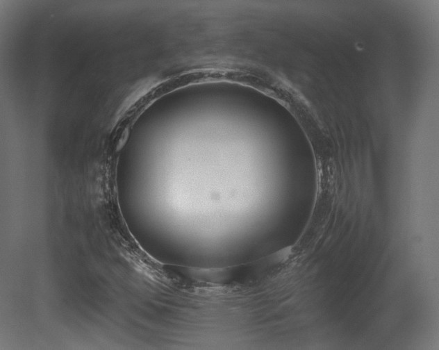 X0000081271352200701111255