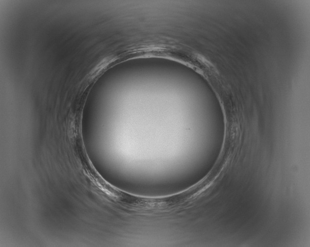 X0000081271353200701111255