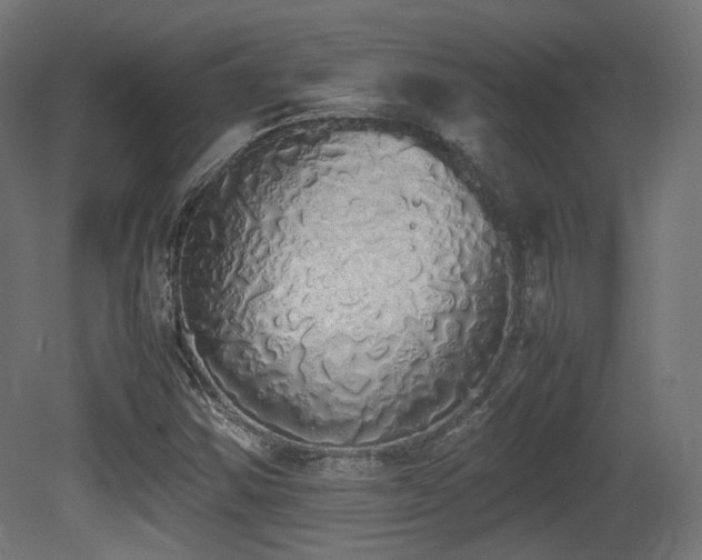 X0000081271354200701111255