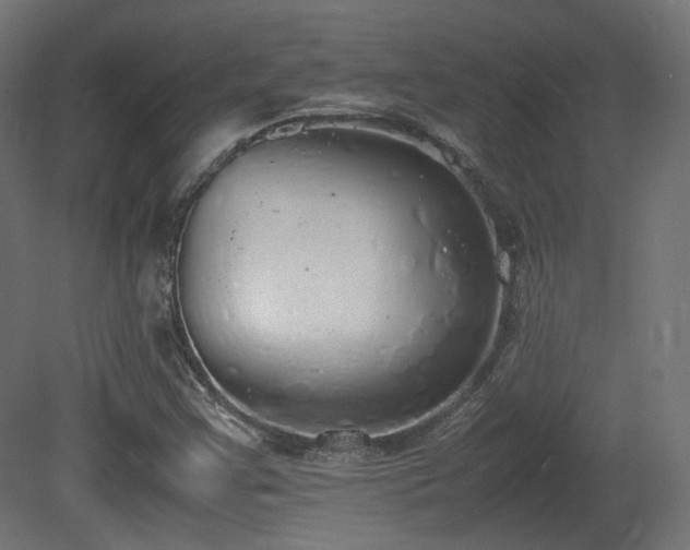 X0000081271355200701111255