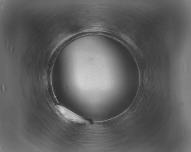 X0000081271356200701111255