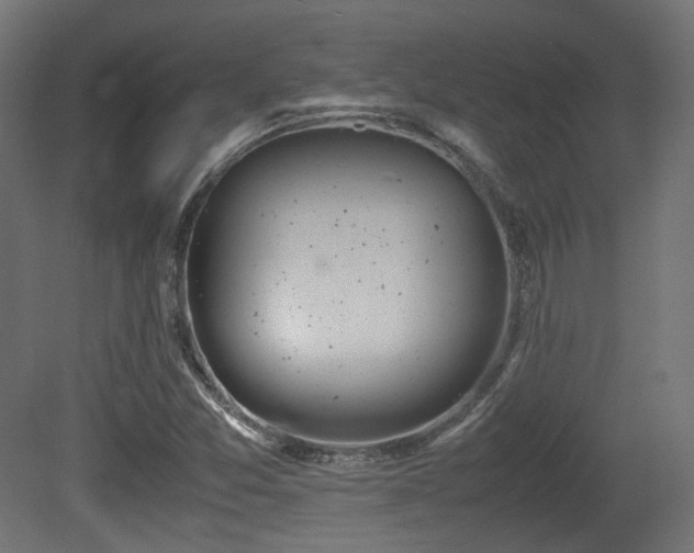 X0000081271357200701111255