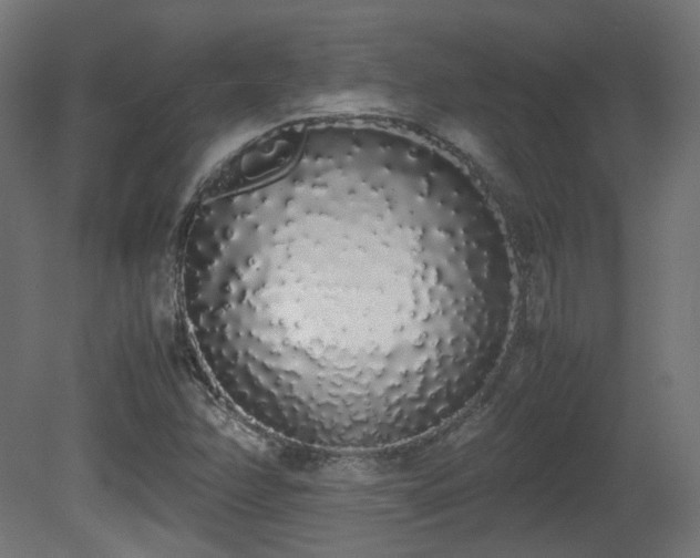 X0000081271358200701111255