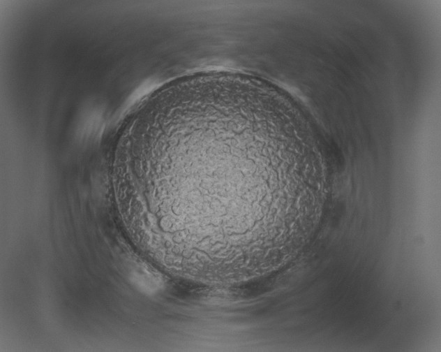 X0000081271359200701111255