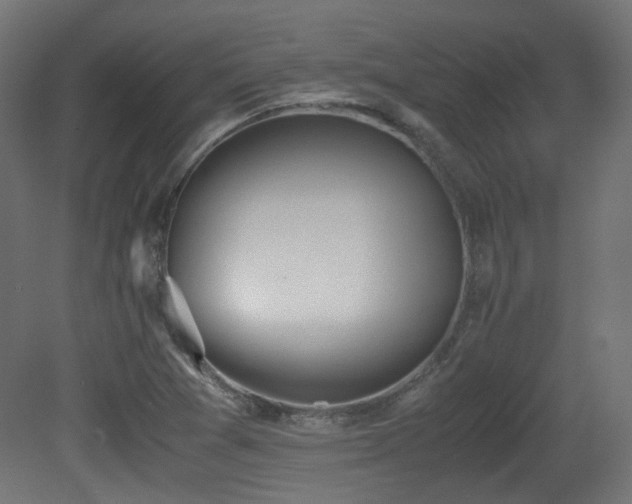 X0000081271361200701111255