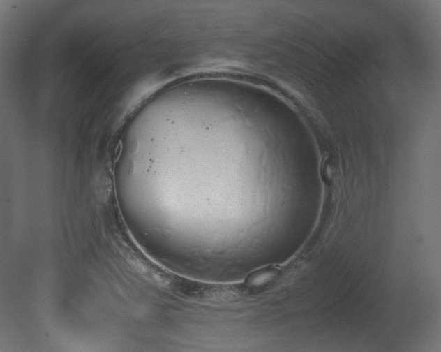 X0000081271363200701111255