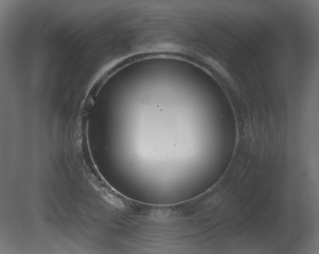 X0000081271364200701111255