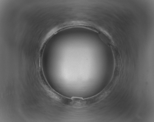 X0000081271365200701111255
