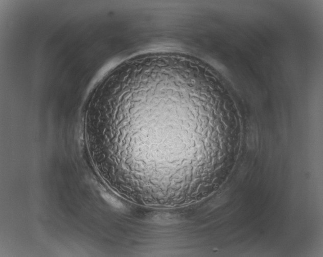 X0000081271366200701111255
