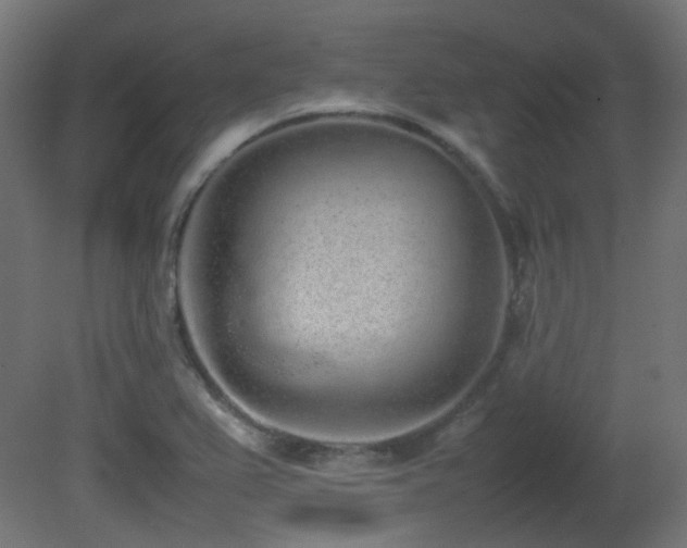 X0000081271367200701111255