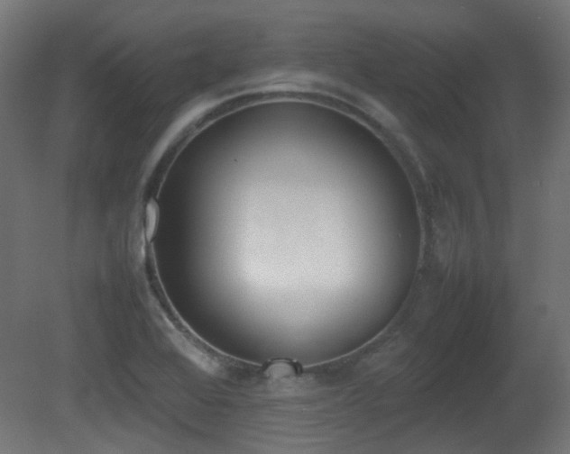 X0000081271368200701111255