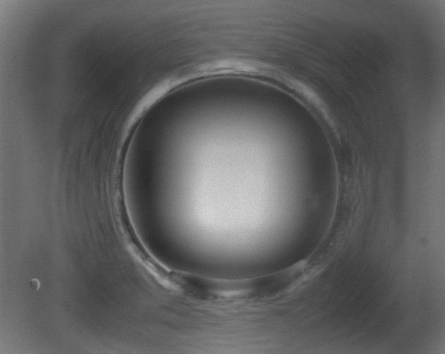 X0000081271373200701111255