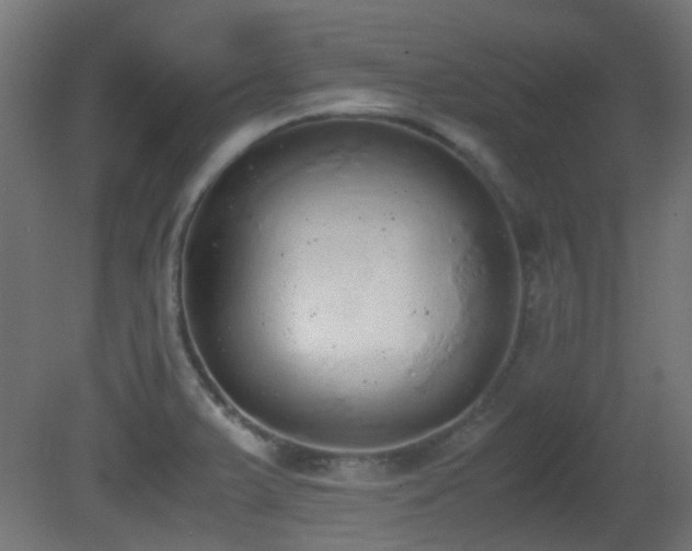X0000081271375200701111255