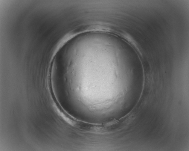 X0000081271379200701111255