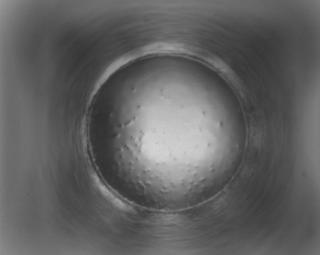 X0000081271382200701111255