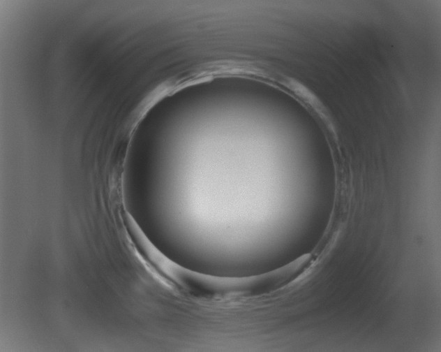 X0000081271385200701111255