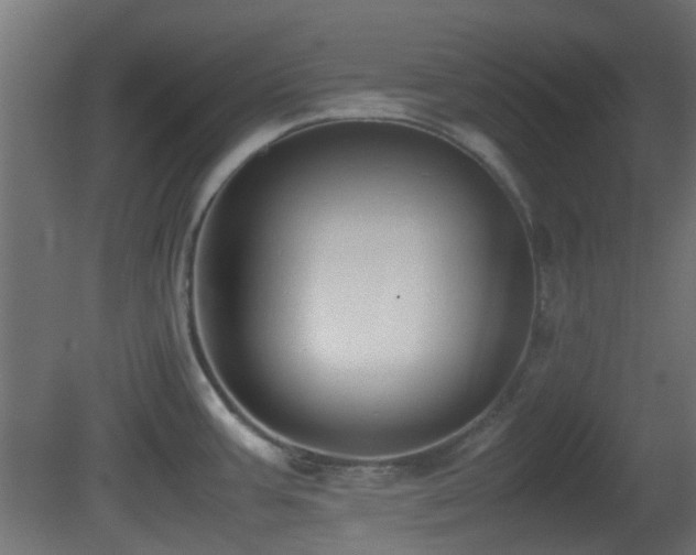 X0000081271387200701111255