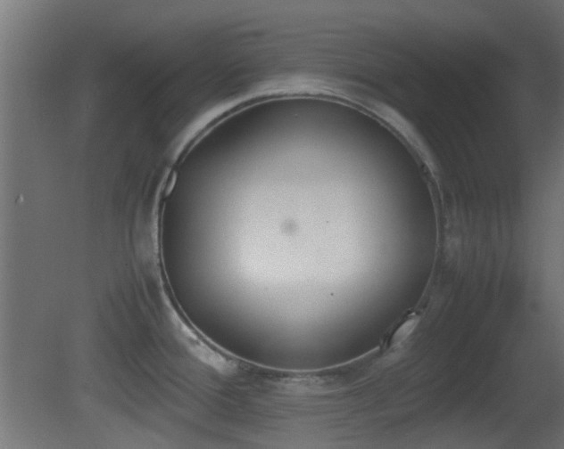 X0000081271388200701111255