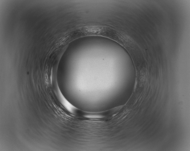 X0000081271394200701111254