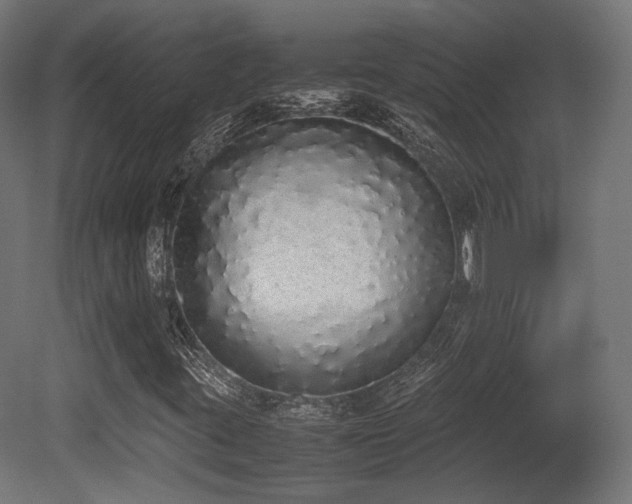 X0000081271395200701111254
