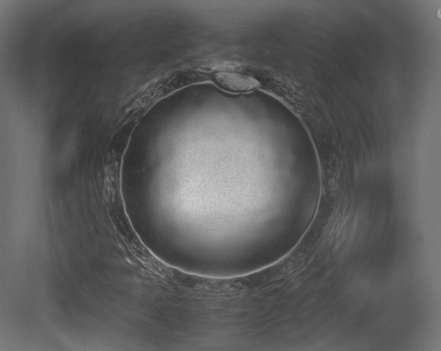 X0000081271397200701111254