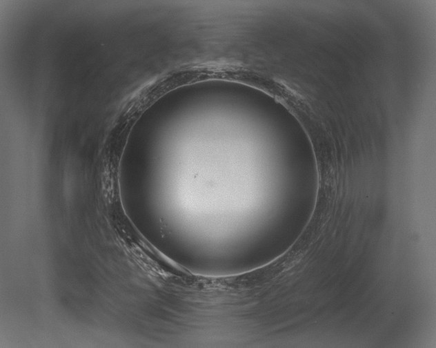 X0000081271398200701111254
