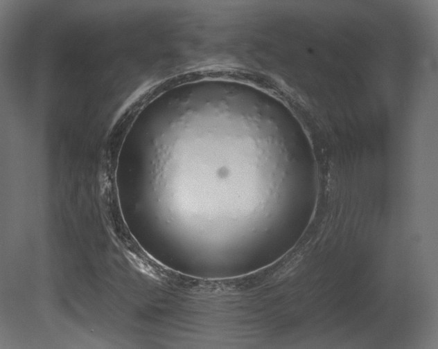 X0000081271400200701111254