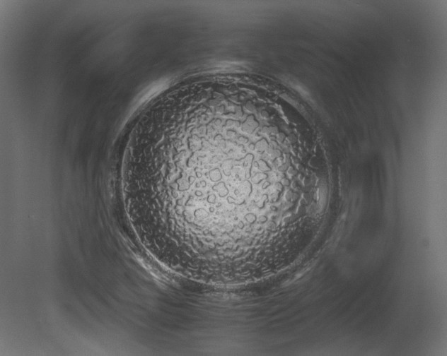 X0000081271405200701111254