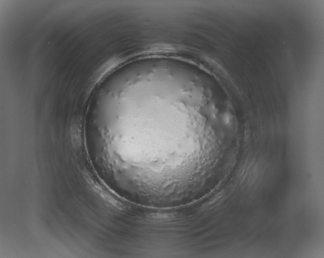 X0000081271409200701111254