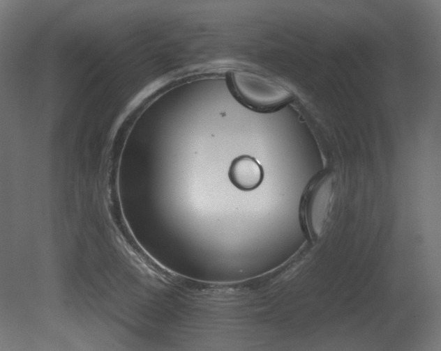 X0000081271410200701111254