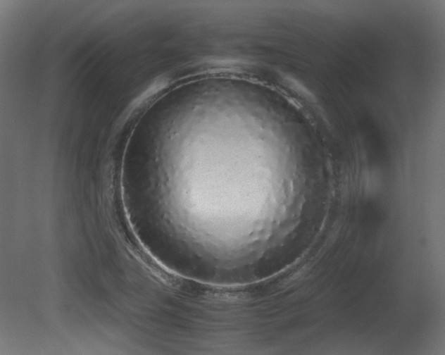 X0000081271411200701111254