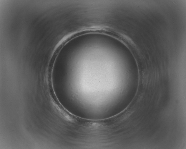 X0000081271412200701111254