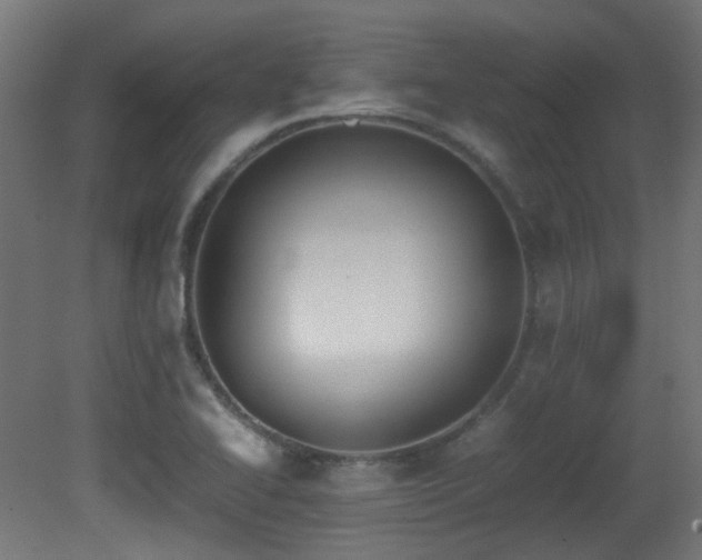 X0000081271414200701111254
