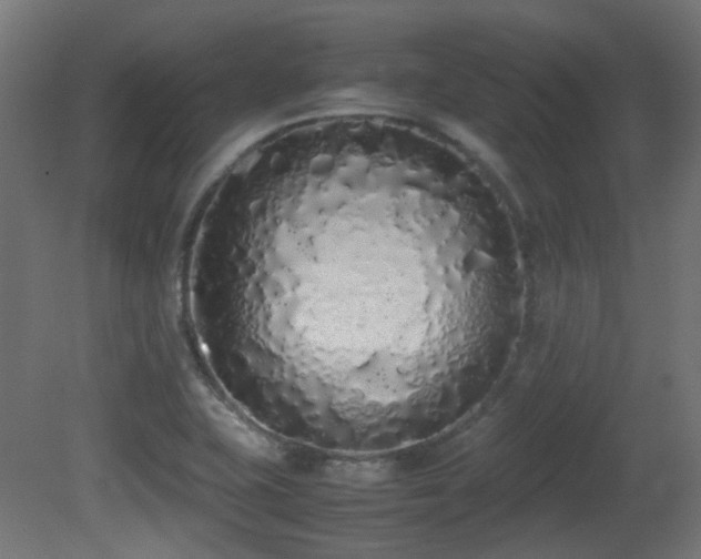 X0000081271415200701111254