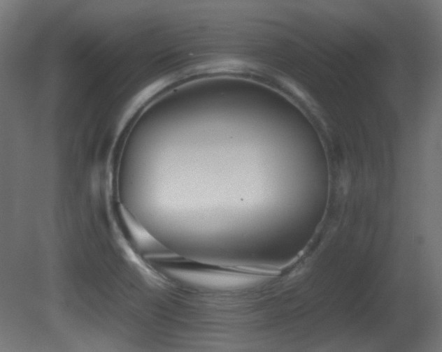 X0000081271418200701111254