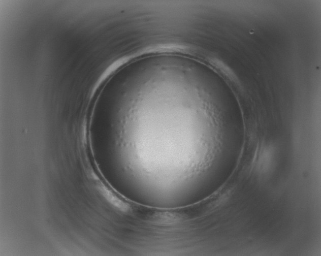 X0000081271420200701111254
