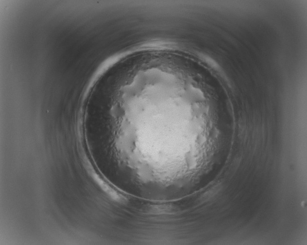 X0000081271421200701111254