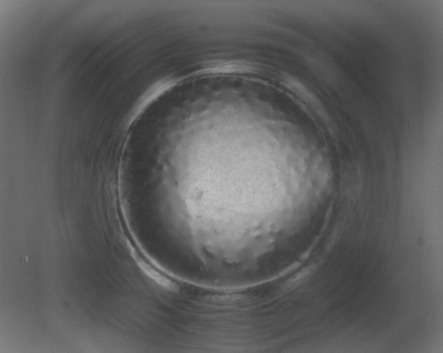 X0000081271425200701111254