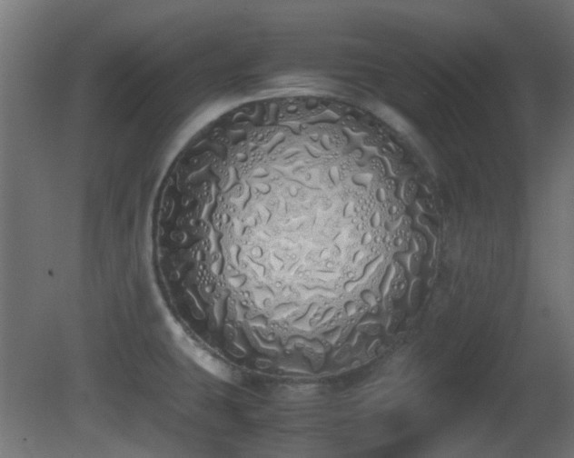 X0000081271431200701111254