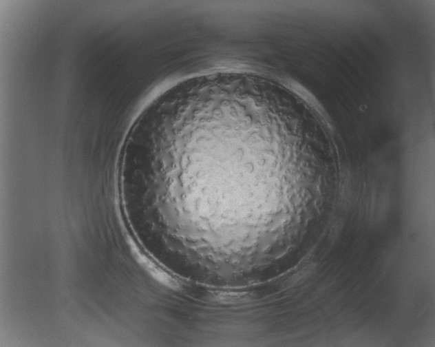 X0000081271439200701111254