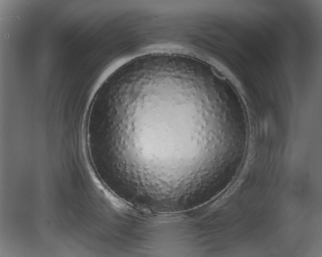 X0000081271440200701111255