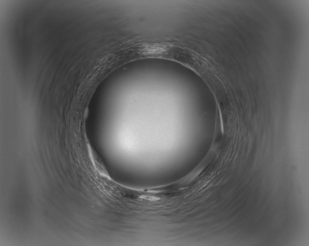 X0000081271441200701111254